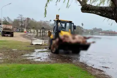 El insólito hallazgo en el río Gualeguaychú que obligó a un operativo con maquinaria pesada