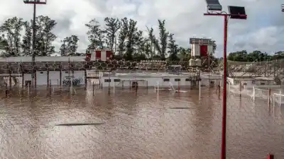 El Niño golpea con todo: qué hacer para evitar dengue, alacranes y enfermedades que traen los roedores