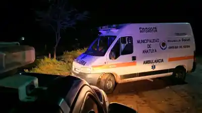 Chocaron contra una vaca en la Ruta 7 y uno de los menores terminó con fractura expuesta