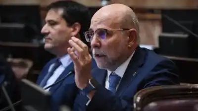 Flavio Fama frenó la venta de tierras a extranjeros y reveló su voto en la Ley de Propiedad Privada