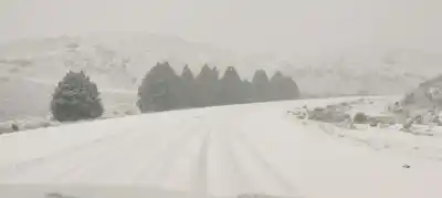 Alerta amarilla: lluvias, nieve y viento blanco azotarán la región este miércoles