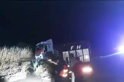 Un camión jaula terminó en la banquina de la Ruta 12: el conductor, ileso