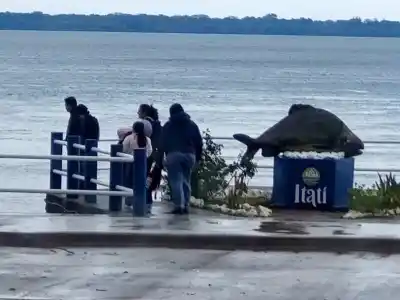 El plan secreto de Itatí para enfrentar la furia del río