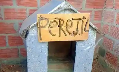 El refugio que espera a Perejil: la cucha con su nombre y el mensaje que emociona