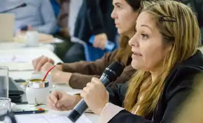 El Medanito: citan a Toso, Ribeiro y Pampetrol tras la alerta de las pymes
