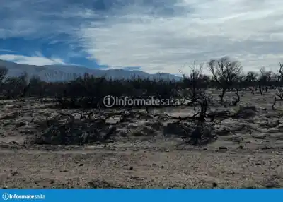 Cafayate: buscan blindar las zonas quemadas contra los desarrollos inmobiliarios