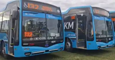 Rosario renueva su flota de colectivos: el ambicioso plan que promete reducir la antigüedad a 5 años
