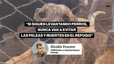 Denuncias por maltrato animal en Pehuajó: un concejal de LLA desafía a Zurro y exige respuestas
