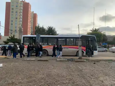 Más de 340 reclamos en los primeros días de SolBus: el EnCoSeP admite que habrá cambios