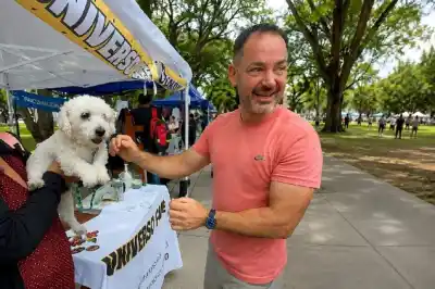 ¿Abandonaste una mascota? Podrías quedarte sin tu licencia de conducir
