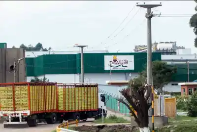 La firma avícola que debe US$350 millones y pone en venta tres plantas de Entre Ríos