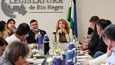 Río Negro: el plenario de comisiones dio luz verde a cinco proyectos clave del Ejecutivo