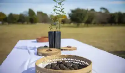 La joya gourmet que se cultiva en Buenos Aires: así será el festival que reúne a chefs, truferos y foodies