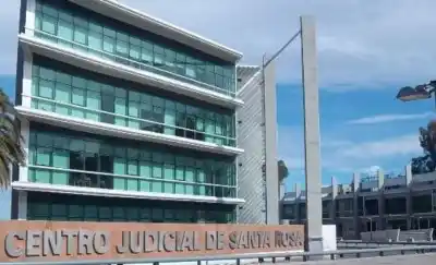 La Justicia la absolvió por maltrato animal y el fallo que nadie esperaba
