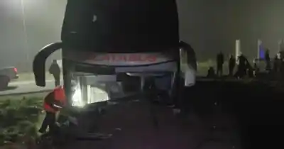 La niebla jugó una mala pasada: micro que iba a La Plata terminó estrellado en Carmen de Areco