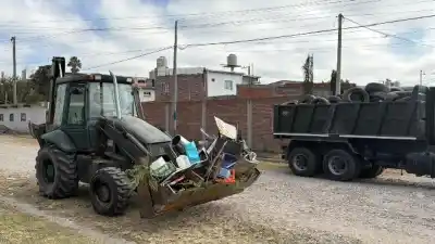 El calor y la lluvia en Salta encienden las alarmas: refuerzan la lucha contra el dengue