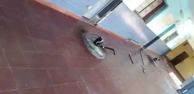Robo y vandalismo en la Escuela N° 378 Manuel Vaquera