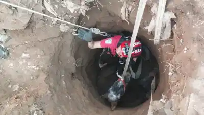 Un caballo cayó a un pozo ciego en Cruz del Eje: el increíble rescate que tuvo final feliz