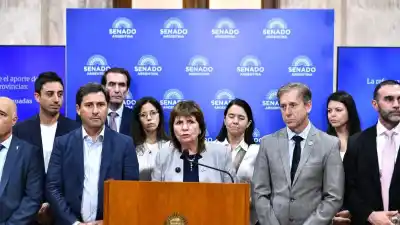 Tensión en el Senado: el oficialismo cuenta los votos uno por uno y la oposición saca cuentas