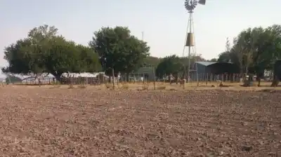 Alerta en el campo: la reforma de la Ley de Tierras podría dejar sin acceso a los pequeños productores