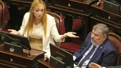 Embarazada y sin poder viajar: la senadora que pide votar virtual y desata una polémica en el Senado