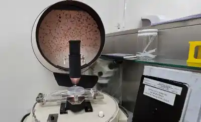 Alerta sanitaria: detectan triquinosis en un jabalí cazado en un torneo de Santa Rosa
