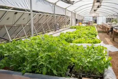 Docentes agropecuarios de Neuquén: abren la inscripción a una actualización con dos orientaciones