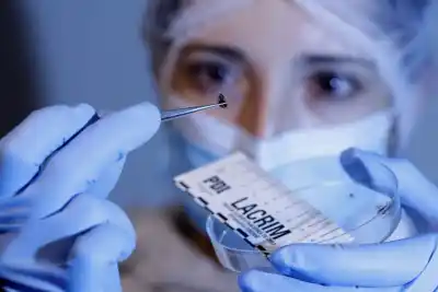 Insectos del CONICET: la nueva arma secreta de San Juan para resolver crímenes