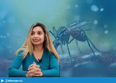 Calor y lluvias anticipadas: la advertencia que enciende las alarmas por el dengue en Salta