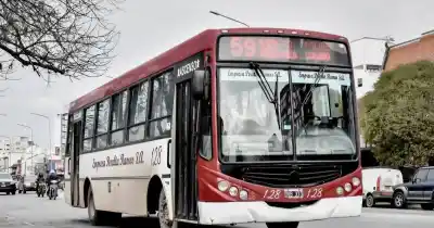 Transporte en Mar del Plata: el plazo que fijó el Concejo para modificar el pliego y el reclamo de la oposición