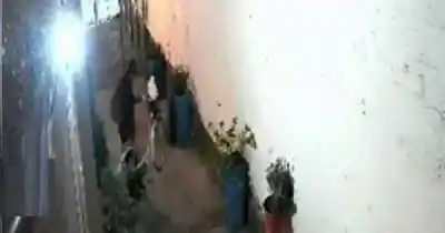 El video que captó el robo de una bicicleta en San Rafael y desató la indignación vecinal