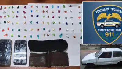El insólito hallazgo en un auto que alertó a la Policía durante un control de rutina