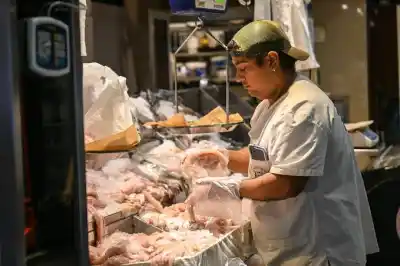 Nuevo curso de manipulación de alimentos en Mina Clavero: cómo anotarse y qué requisitos piden