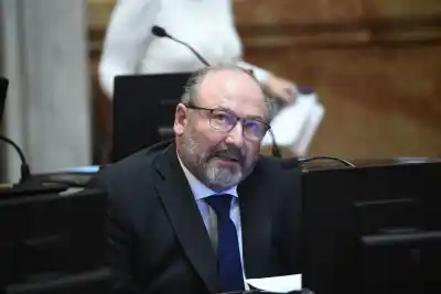 Ley de tierras: un senador clave anticipa su voto en contra y complica al oficialismo