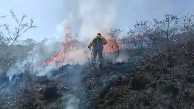 Alerta en Salta: los incendios de julio arrasaron con 8.700 hectáreas, ¿qué se espera para los próximos días?