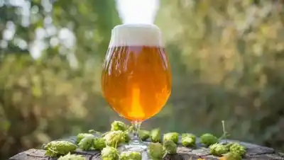 IPA Day 2026: el fenómeno cervecero que convierte una celebración global en un motor para las pymes argentinas