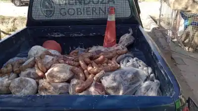 Inspección en Las Heras: sacaron de circulación 260 kilos de carne en mal estado