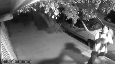 Zona Norte en alerta: el extraño caso del hombre que se llevaba gatos y los abandonaba a su suerte
