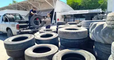 Neumatón en Salta: cambiá tus cubiertas viejas por plantas y ayudá al ambiente