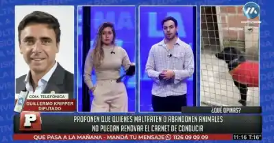 ¿Maltrataste a un animal en Salta? Podrías quedarte sin licencia de conducir