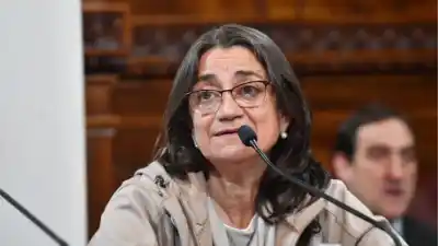 Alerta de Corpacci: 'Un municipio podría venderse entero' si se aprueba la nueva ley de propiedad