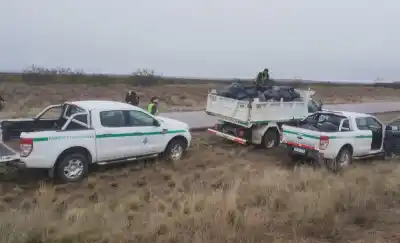 Una jornada de limpieza en la ruta 152 dejó un resultado que sorprende: 8 m³ de basura