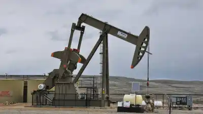 El espejismo de la lluvia de inversiones: los números que exponen la mayor fuga de utilidades en la historia