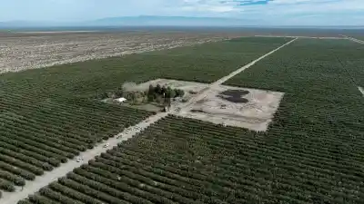 El récord que puso a Catamarca en la cima de las exportaciones: ¿qué vendió la provincia?