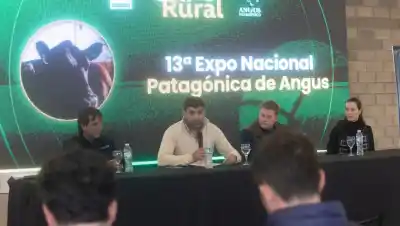 La Expo Rural de Viedma cumple 30 años y se prepara para un hito con la Nacional Patagónica Angus