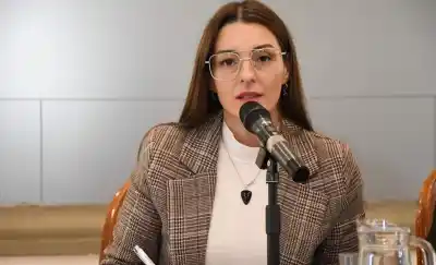 Alerta en el Senado: la Ley de Tierras que podría ceder el territorio a extranjeros