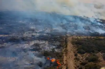 Vuelve a Merlo el congreso que reúne a los mayores expertos en incendios de interfase