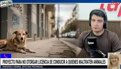 Maltrato animal en Salta: el proyecto que prevé arrestos y multas para los dueños