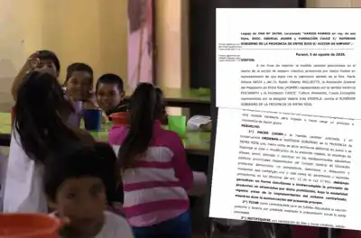 Comedores escolares: la Justicia frenó al Gobierno y ordenó suspender la entrega de alimentos con sellos