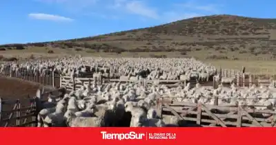 El reclamo de FIAS que puede cambiar el futuro de las tierras en Santa Cruz